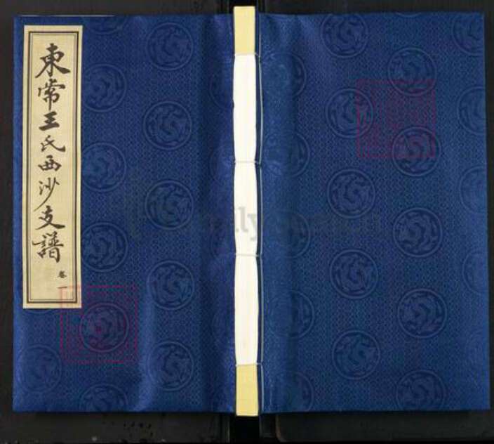 江苏省无锡市江阴市徐霞客镇王氏三槐堂族谱-东常王氏西沙支谱.pdf电子版缩略图