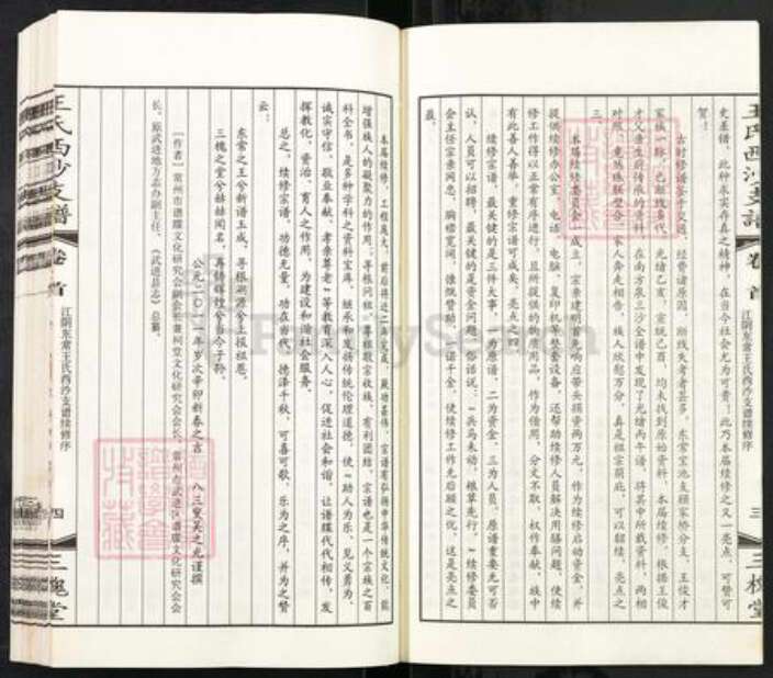 江苏省无锡市江阴市徐霞客镇王氏三槐堂族谱-东常王氏西沙支谱.pdf电子版预览图5