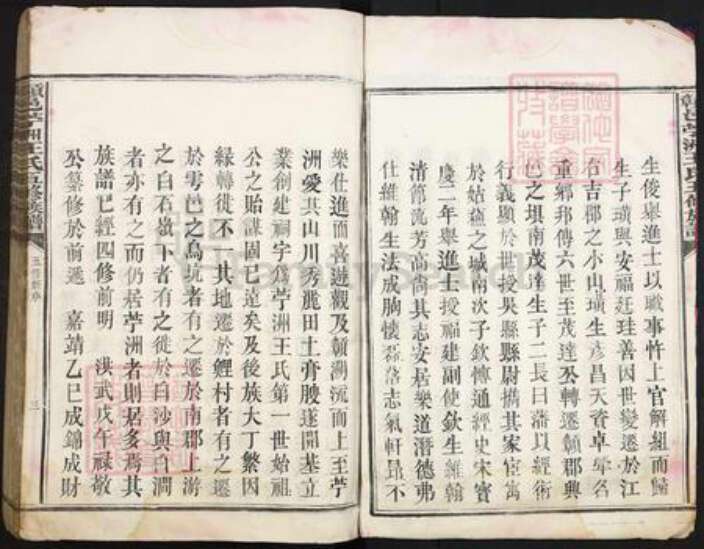 江西省赣州市赣县区王氏三槐堂族谱-赣邑苎洲王氏五修族谱.pdf电子版预览图3