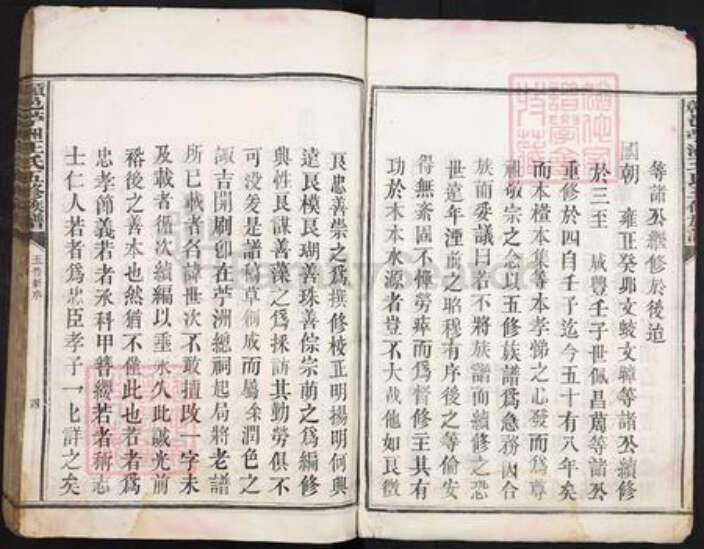 江西省赣州市赣县区王氏三槐堂族谱-赣邑苎洲王氏五修族谱.pdf电子版预览图4