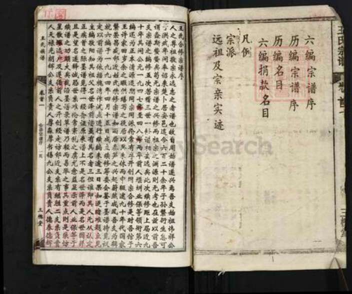 湖北省黄冈市红安县王氏三槐堂族谱-王氏宗谱.pdf电子版预览图2