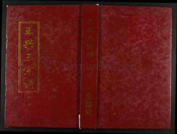 湖北省武汉市新洲区王氏光裕堂族谱-王兴三宗谱.pdf电子版缩略图