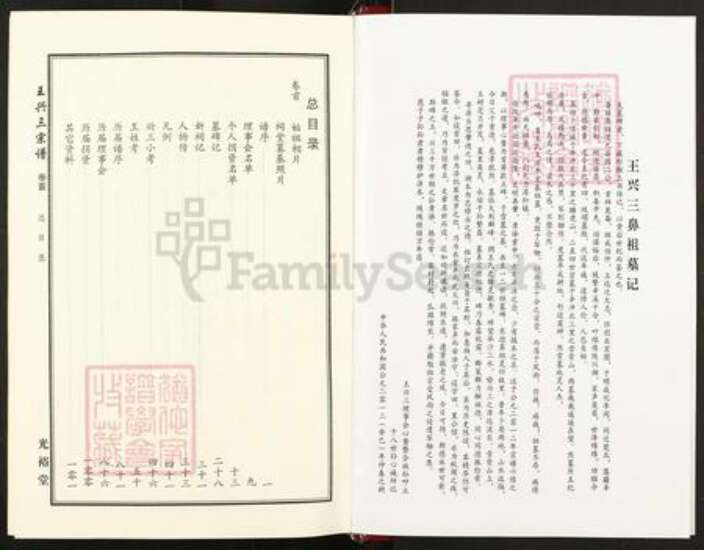 湖北省武汉市新洲区王氏光裕堂族谱-王兴三宗谱.pdf电子版预览图4