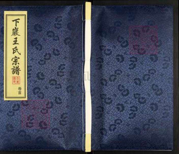 江苏省常州市武进县王氏天美堂族谱-下巌王氏宗谱.pdf电子版缩略图