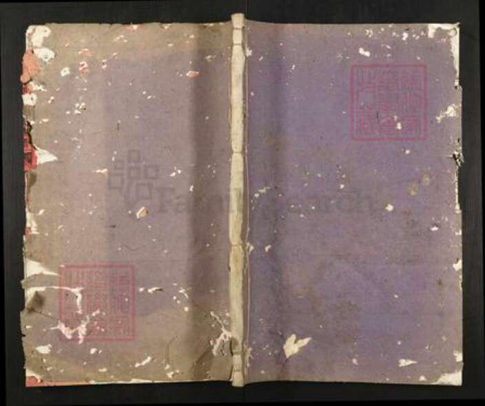 浙江省杭州市淳安县县王氏成德堂族谱-湖峰王氏族谱.pdf电子版缩略图