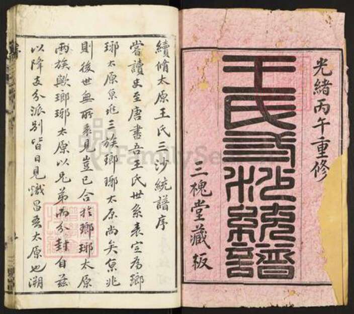 江苏省常州市武进县礼嘉镇王氏三槐堂族谱-王氏三沙统谱.pdf电子版预览图1