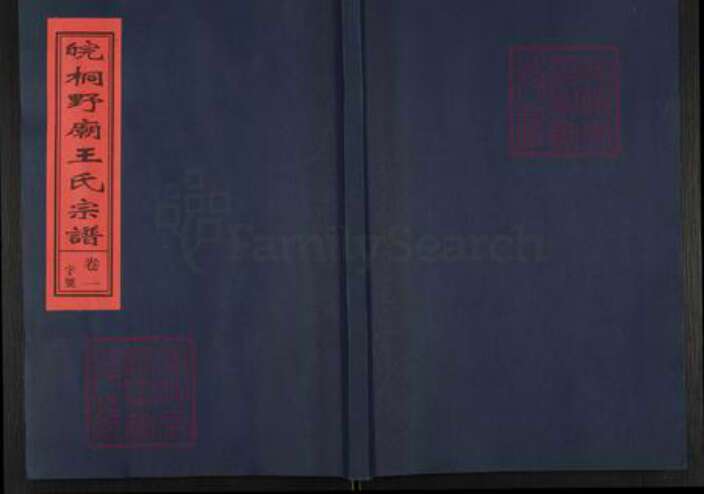 安徽省铜陵市枞阳县会宫镇王氏族谱-皖桐野庙王氏宗谱.pdf电子版缩略图