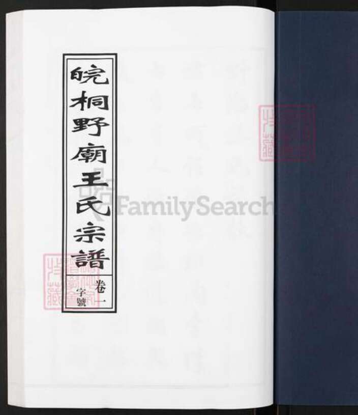 安徽省铜陵市枞阳县会宫镇王氏族谱-皖桐野庙王氏宗谱.pdf电子版预览图1