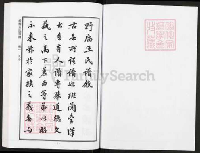 安徽省铜陵市枞阳县会宫镇王氏族谱-皖桐野庙王氏宗谱.pdf电子版预览图2