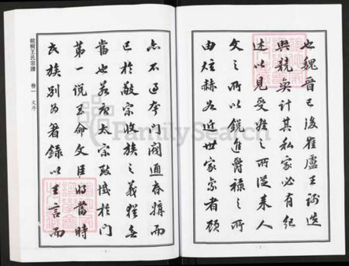 安徽省铜陵市枞阳县会宫镇王氏族谱-皖桐野庙王氏宗谱.pdf电子版预览图3