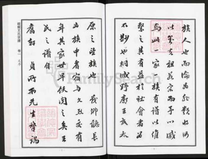 安徽省铜陵市枞阳县会宫镇王氏族谱-皖桐野庙王氏宗谱.pdf电子版预览图5