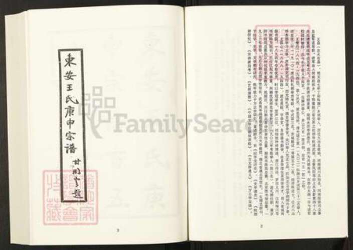 湖北省黄冈市罗田县王氏族谱-清代民国名人家谱选刊续编.第26~33册.东安王氏庚申宗谱.pdf电子版预览图3