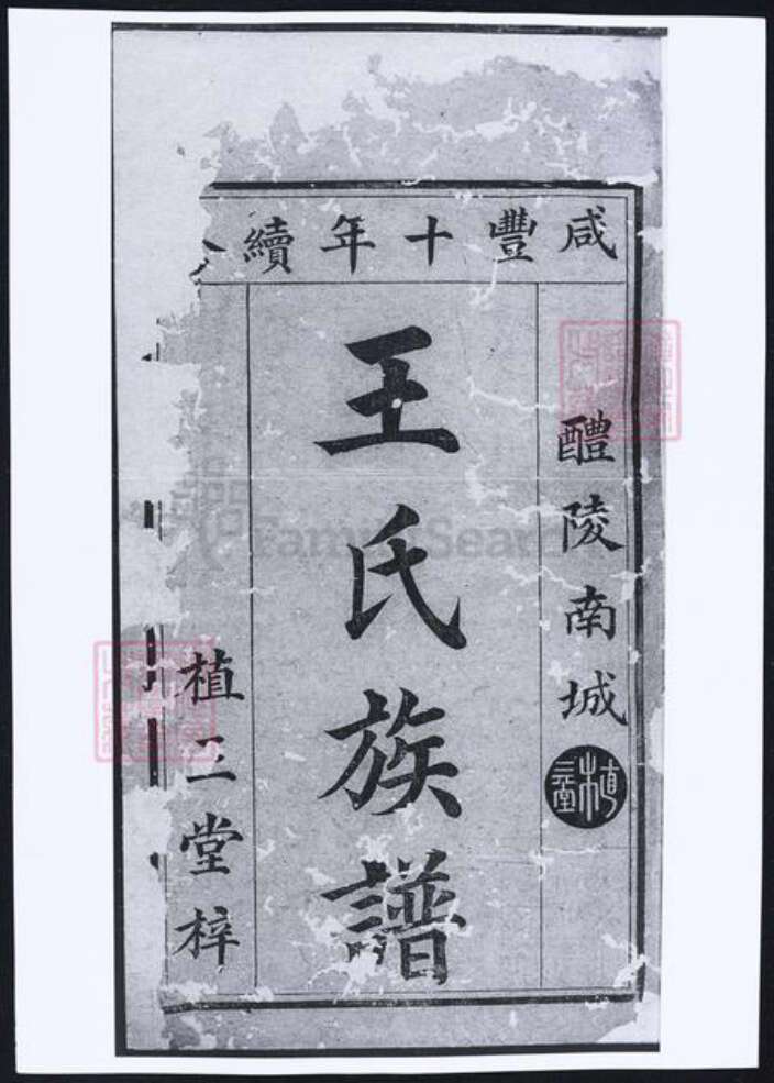 湖南省株洲市醴陵市醴陵王氏族谱-醴陵南城王氏续修族谱.pdf电子版预览图2