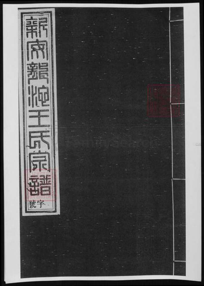 河南省洛阳市王氏族谱-新安龙池王氏宗谱.pdf电子版缩略图