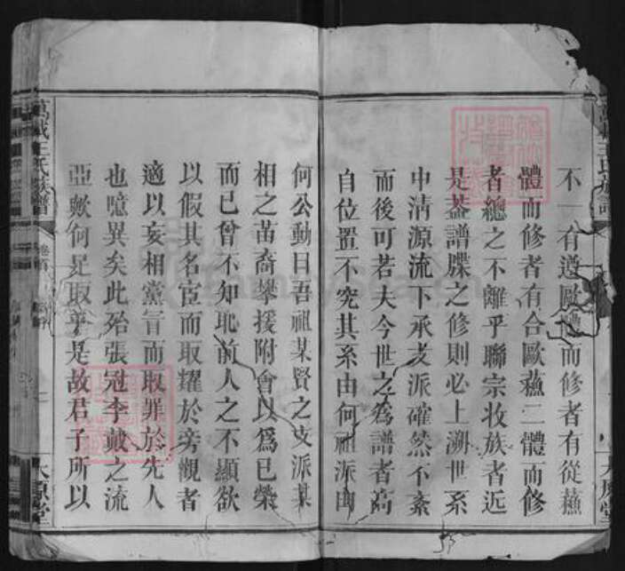 江西省宜春市万载县王氏族谱-万载王氏族谱[9卷首1卷].pdf电子版预览图2