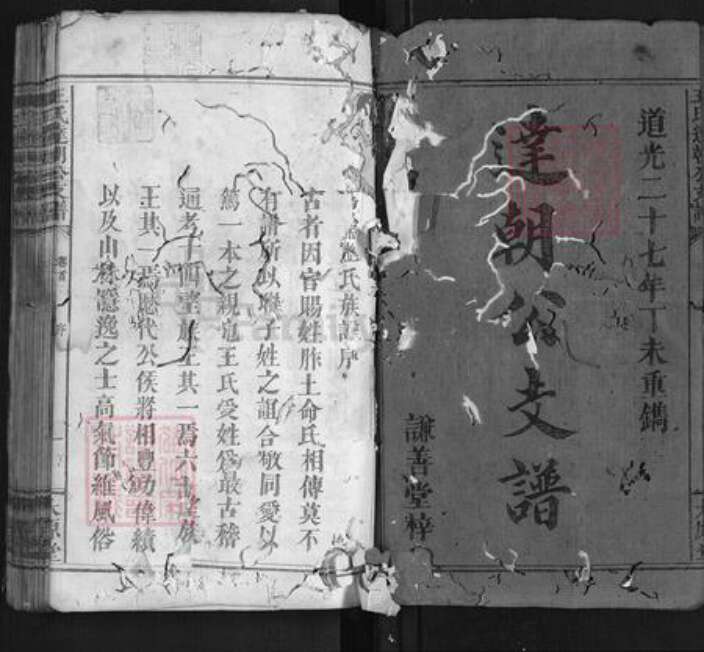 湖南省长沙市浏阳市浏阳王氏族谱-王氏达朝公支谱[7卷首1卷].pdf电子版预览图1