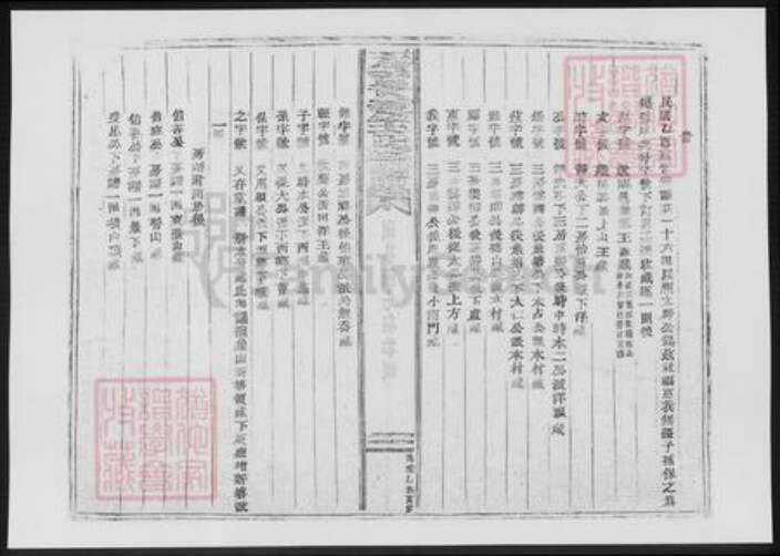 浙江省台州市天台县王氏族谱-黄雾王氏宗谱.pdf电子版预览图5