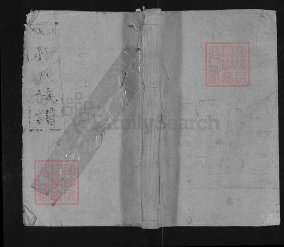 湖南省邵阳市隆回县魏氏大名堂族谱-邵阳魏氏族谱.pdf电子版缩略图