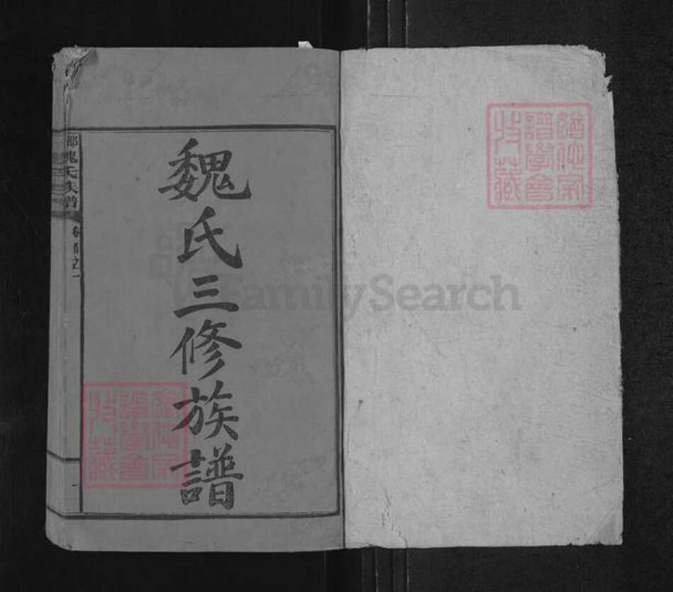 湖南省邵阳市隆回县魏氏大名堂族谱-邵阳魏氏族谱.pdf电子版预览图1