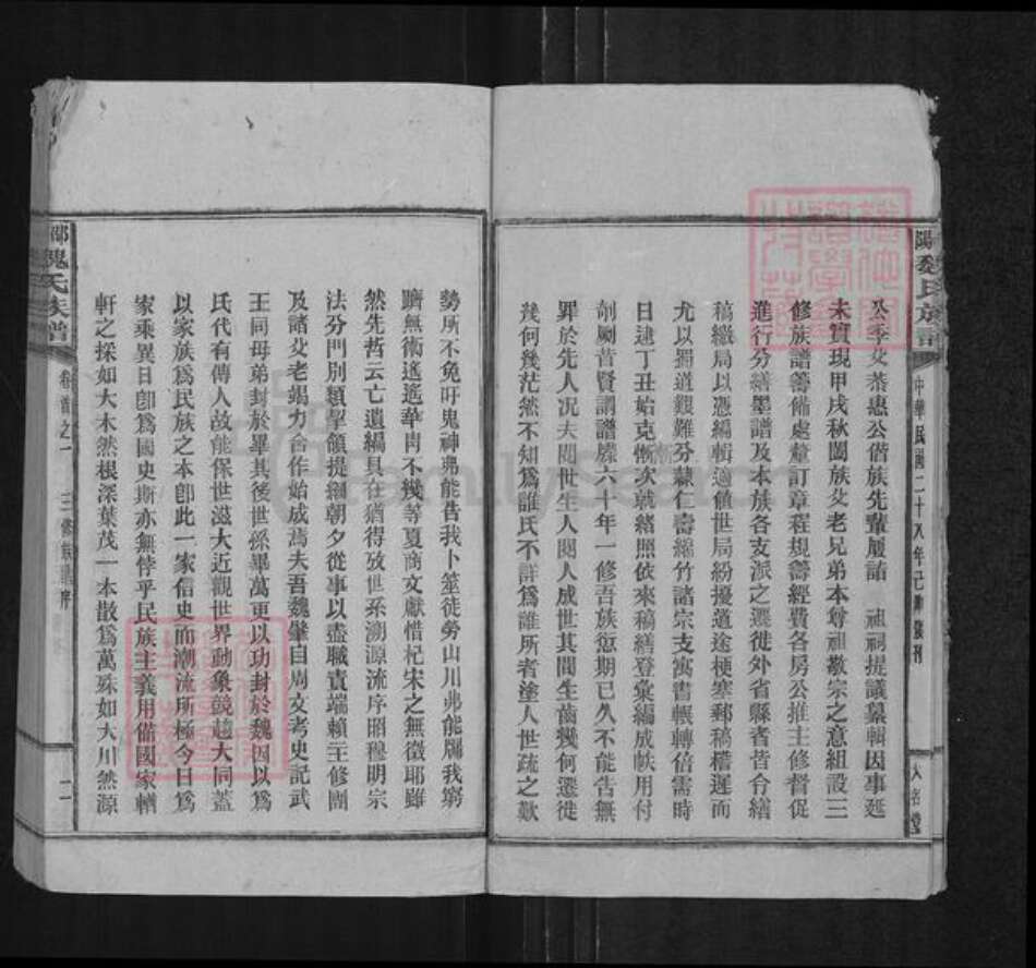 湖南省邵阳市隆回县魏氏大名堂族谱-邵阳魏氏族谱.pdf电子版预览图5