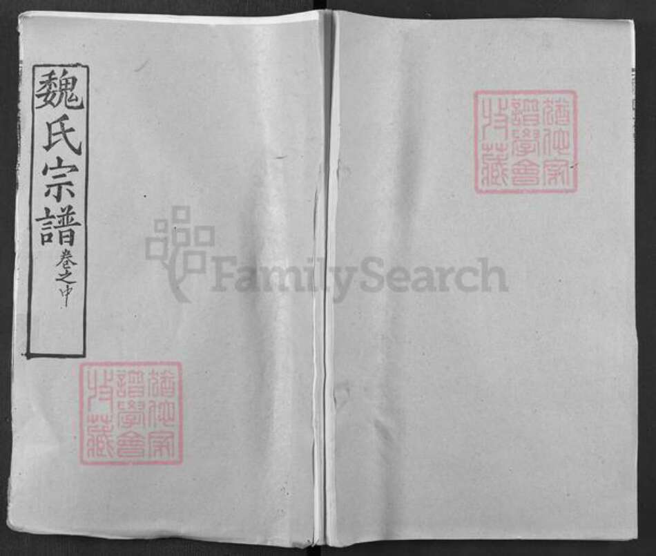 湖北省武汉市新洲区凤凰镇魏氏大名堂族谱-魏氏宗谱.pdf电子版缩略图