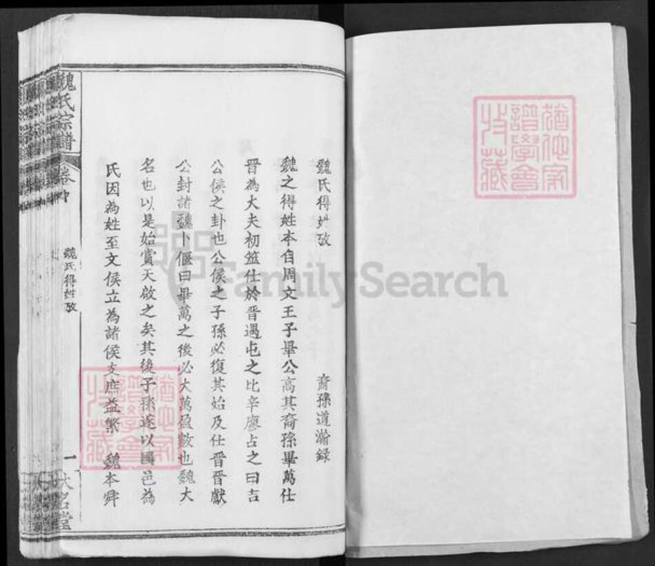 湖北省武汉市新洲区凤凰镇魏氏大名堂族谱-魏氏宗谱.pdf电子版预览图1