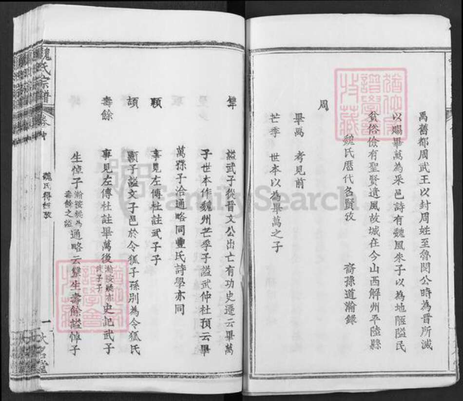 湖北省武汉市新洲区凤凰镇魏氏大名堂族谱-魏氏宗谱.pdf电子版预览图2