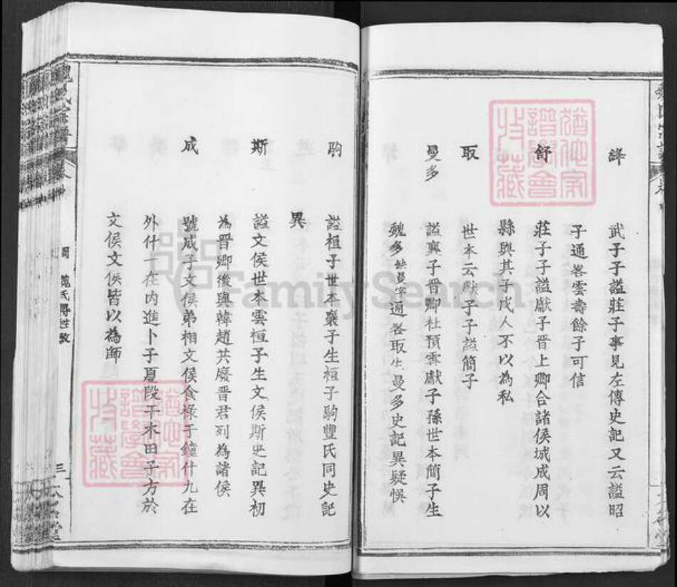 湖北省武汉市新洲区凤凰镇魏氏大名堂族谱-魏氏宗谱.pdf电子版预览图3