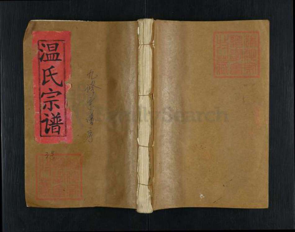 江西省九江市武宁县温氏忠孝堂族谱-温氏宗谱.pdf电子版缩略图