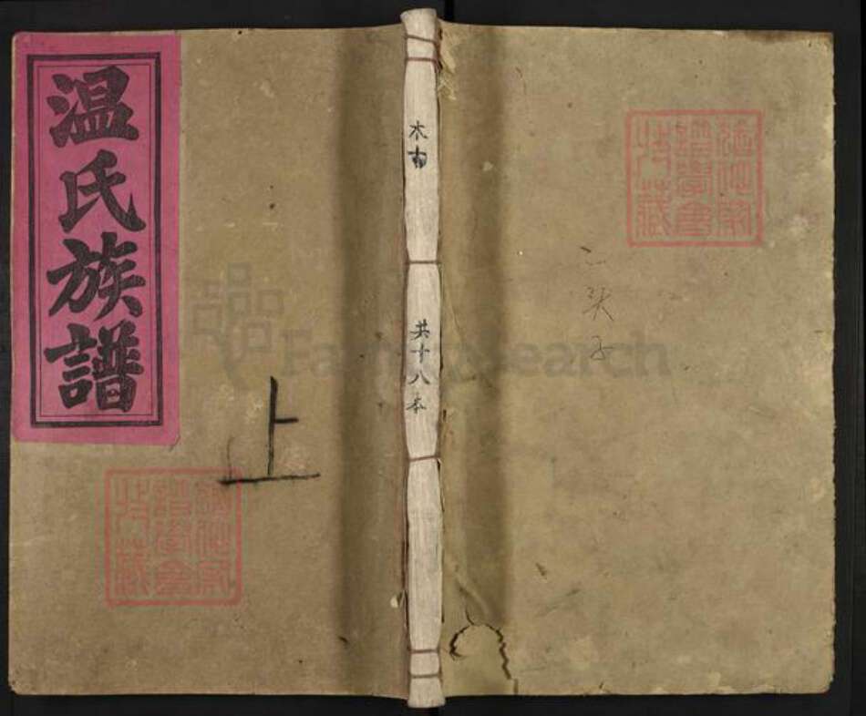 江西省赣州市信丰县温氏太原堂族谱-温氏合修族谱.pdf电子版缩略图