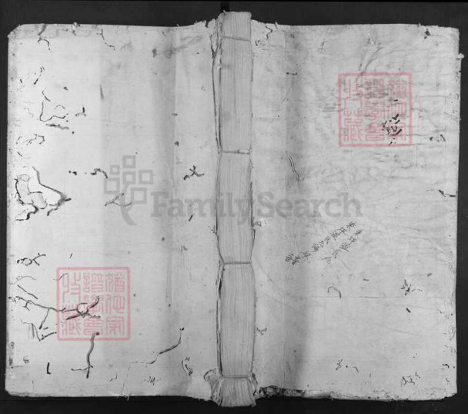 江西省抚州市广昌县尖峰乡温氏族谱-东坪温氏九修族谱.pdf电子版缩略图