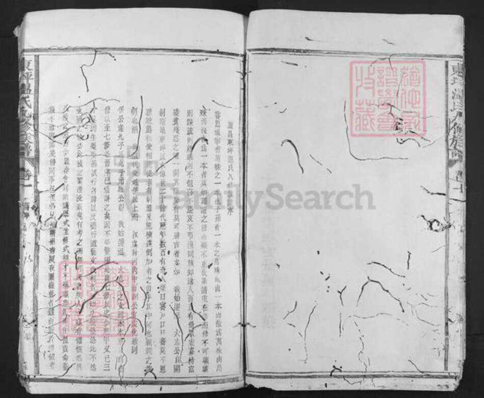 江西省抚州市广昌县尖峰乡温氏族谱-东坪温氏九修族谱.pdf电子版预览图4