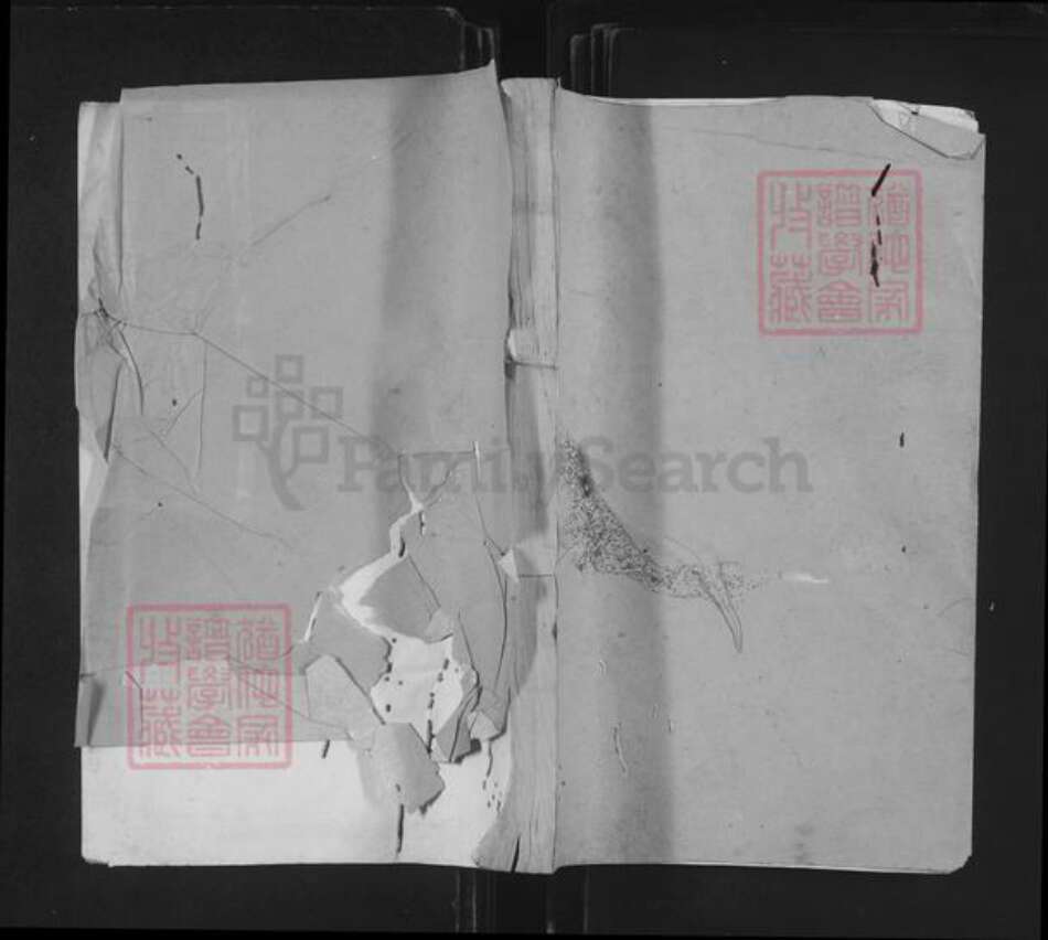 江西省赣州市石城县高田镇温氏雅儒堂族谱-堂下雅儒堂温氏十二修族谱.pdf电子版缩略图