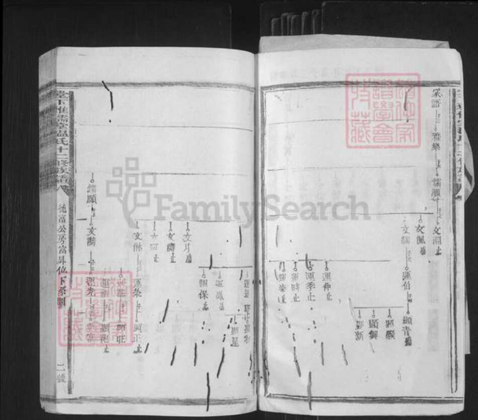 江西省赣州市石城县高田镇温氏雅儒堂族谱-堂下雅儒堂温氏十二修族谱.pdf电子版预览图2