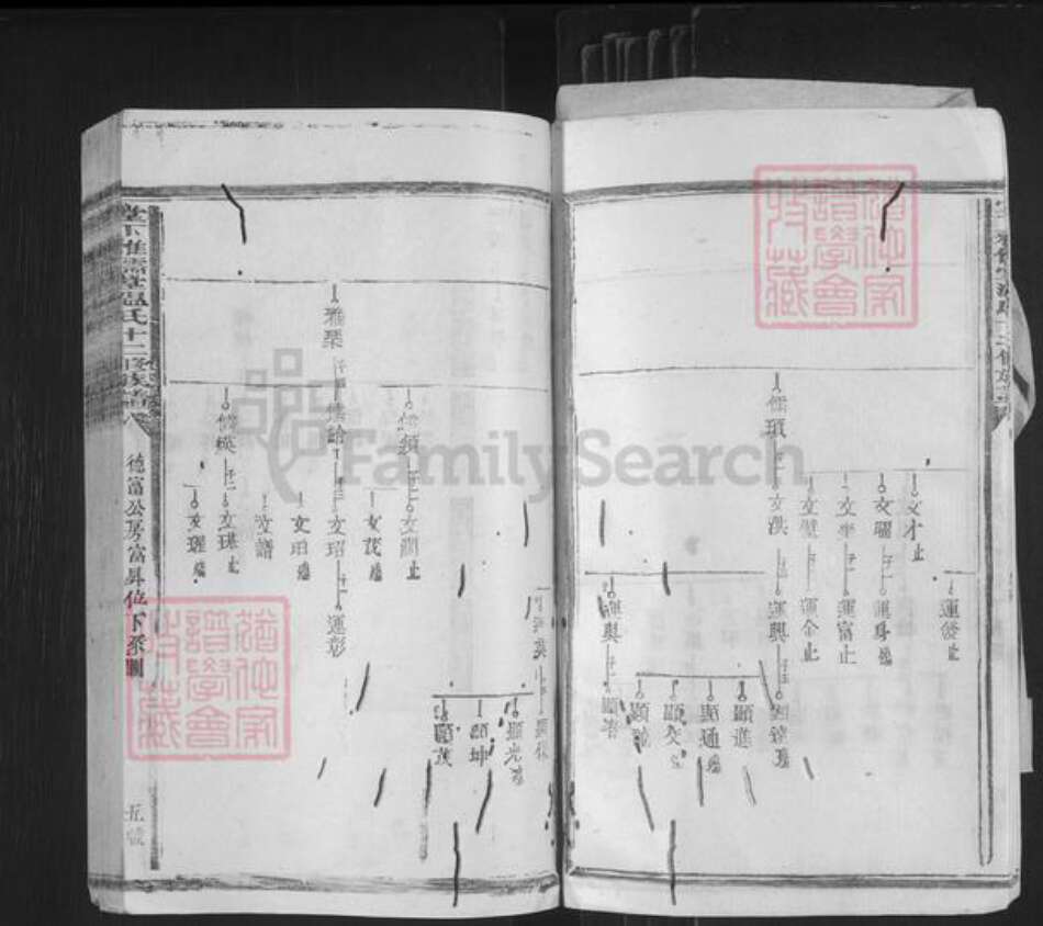 江西省赣州市石城县高田镇温氏雅儒堂族谱-堂下雅儒堂温氏十二修族谱.pdf电子版预览图5