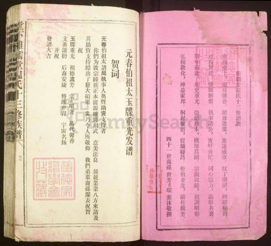 江西省赣州市石城县高田镇温氏雅儒堂族谱-堂下雅儒堂温氏十三修族谱.pdf电子版预览图1