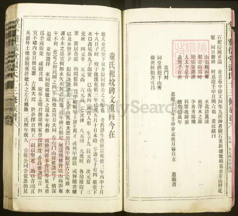 江西省赣州市石城县高田镇温氏雅儒堂族谱-堂下雅儒堂温氏十三修族谱.pdf电子版预览图4