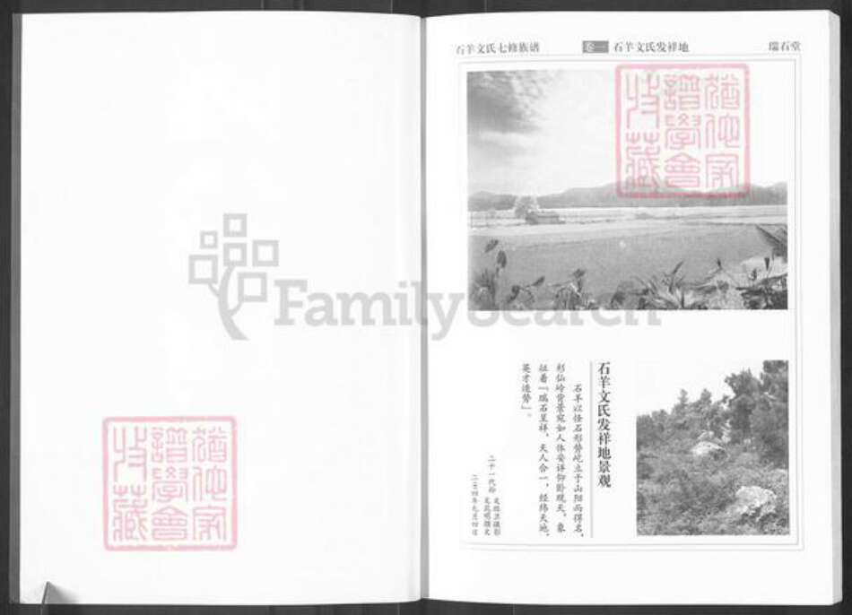 湖南省株洲市醴陵市左权镇文氏族谱-湖南醴陵石羊文氏族谱.pdf电子版预览图2