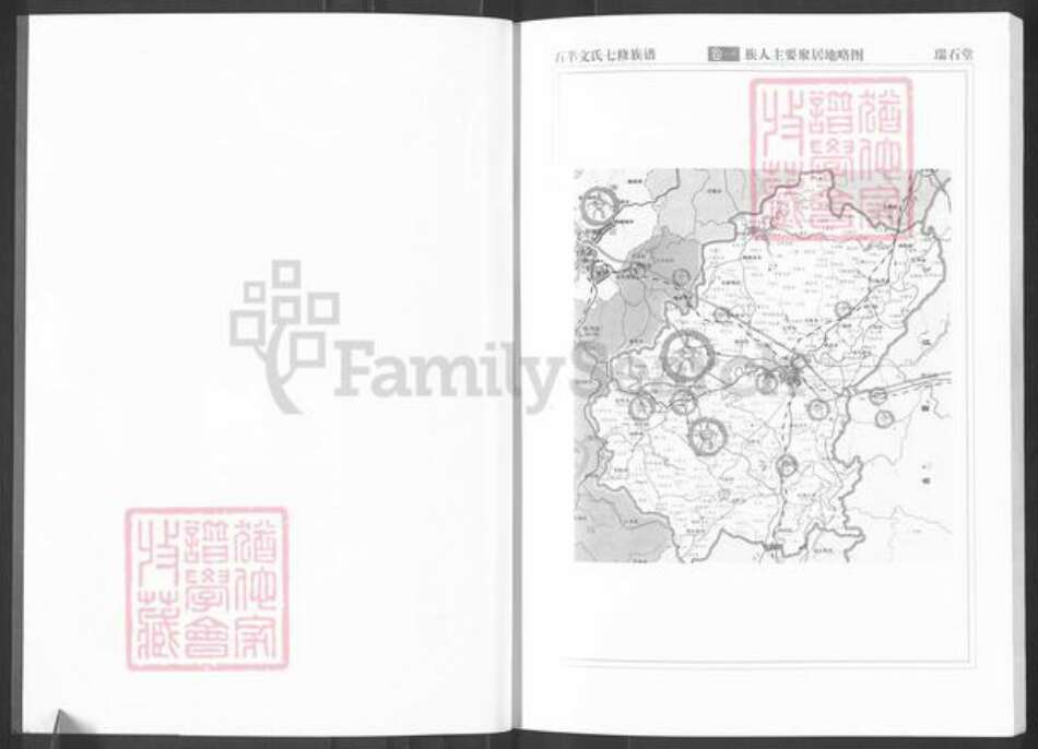 湖南省株洲市醴陵市左权镇文氏族谱-湖南醴陵石羊文氏族谱.pdf电子版预览图3