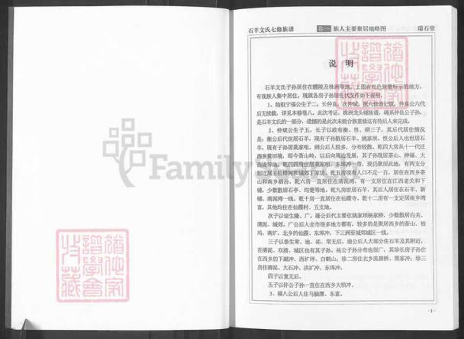 湖南省株洲市醴陵市左权镇文氏族谱-湖南醴陵石羊文氏族谱.pdf电子版预览图4