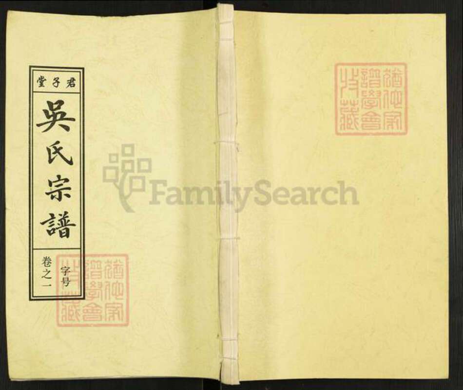 安徽省安庆市桐城市吴氏君子堂族谱-吴氏宗谱.pdf电子版缩略图