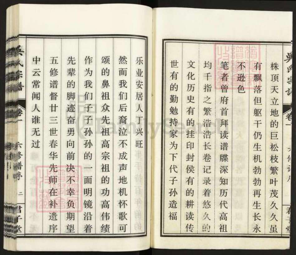 安徽省安庆市桐城市吴氏君子堂族谱-吴氏宗谱.pdf电子版预览图2