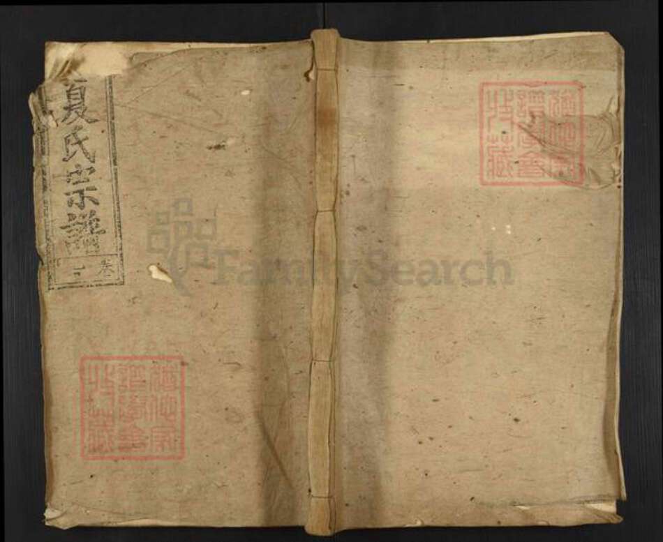 湖北省咸宁市通山县夏氏植本堂族谱-夏氏宗谱.pdf电子版缩略图