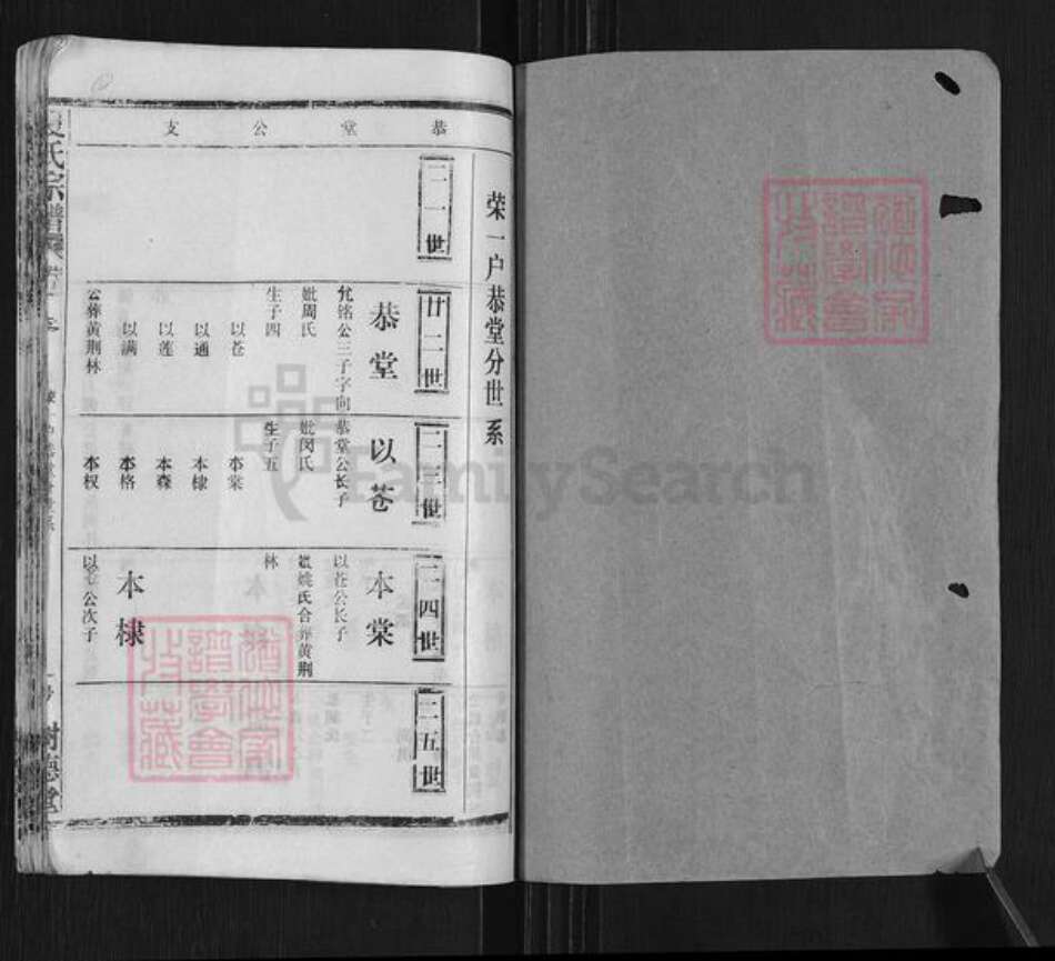 湖北省黄冈市武穴市梅川镇夏氏树德堂族谱-夏氏宗谱.pdf电子版预览图1