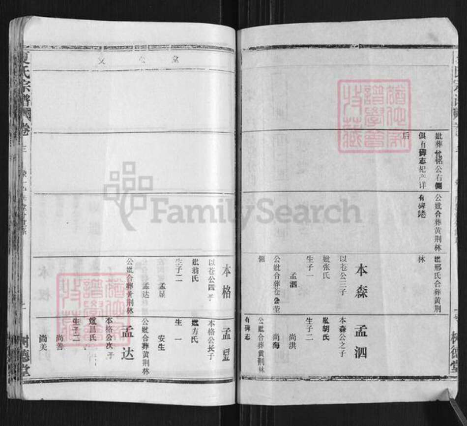 湖北省黄冈市武穴市梅川镇夏氏树德堂族谱-夏氏宗谱.pdf电子版预览图2