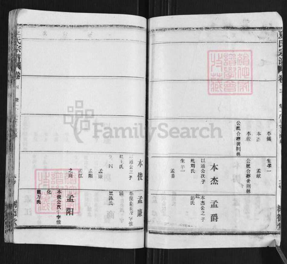 湖北省黄冈市武穴市梅川镇夏氏树德堂族谱-夏氏宗谱.pdf电子版预览图4