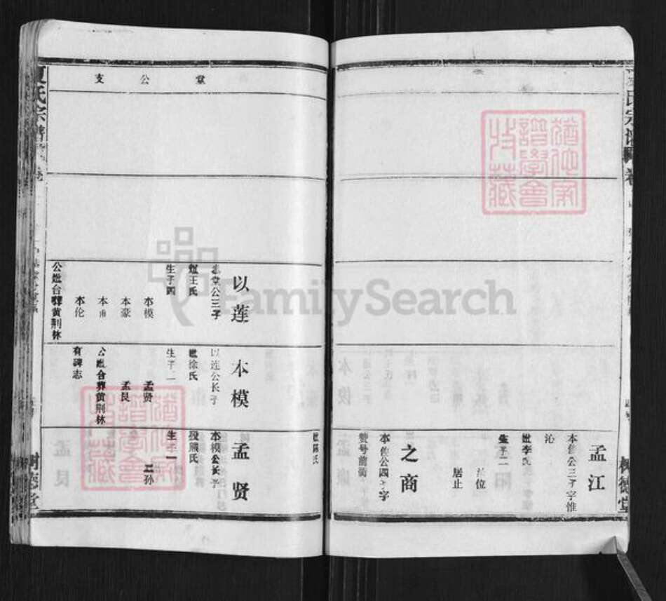 湖北省黄冈市武穴市梅川镇夏氏树德堂族谱-夏氏宗谱.pdf电子版预览图5