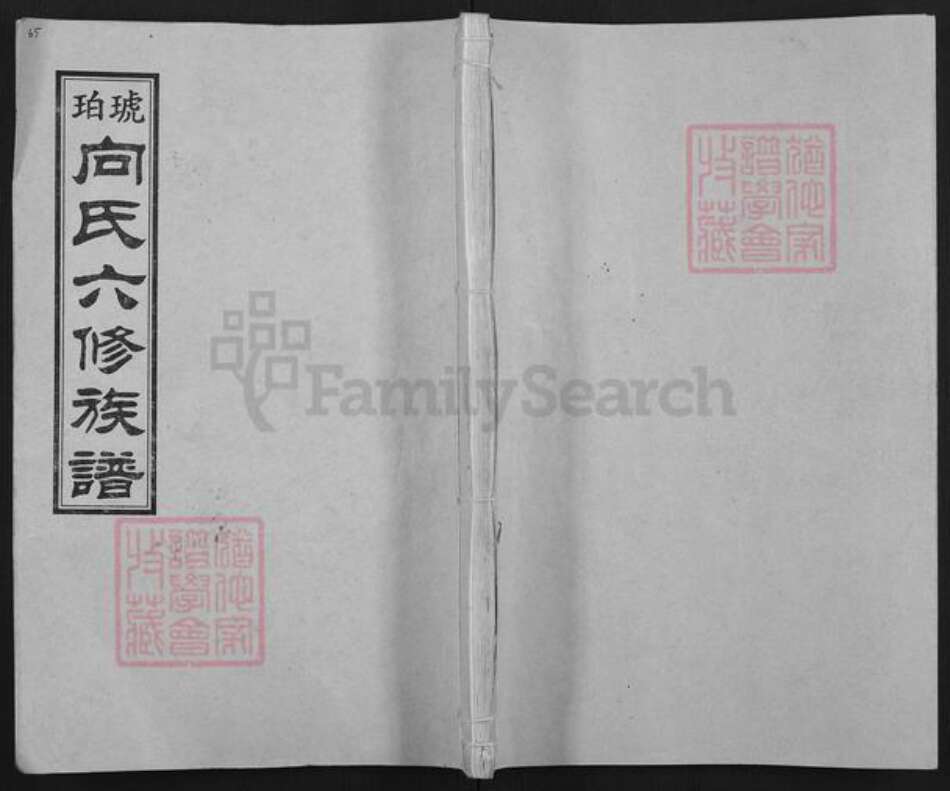 湖南省娄底市双峰县向氏琥珀堂族谱-琥珀向氏六修族谱.pdf电子版缩略图