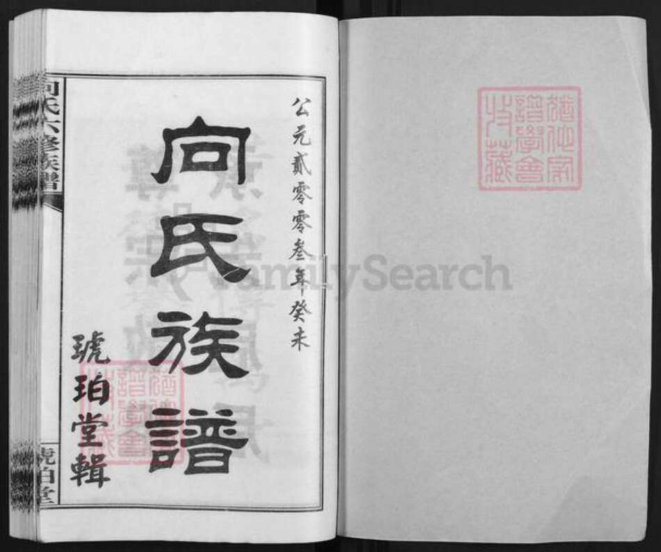 湖南省娄底市双峰县向氏琥珀堂族谱-琥珀向氏六修族谱.pdf电子版预览图1