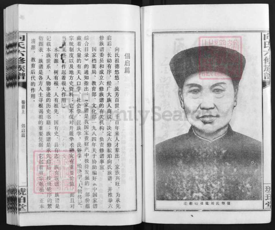 湖南省娄底市双峰县向氏琥珀堂族谱-琥珀向氏六修族谱.pdf电子版预览图5